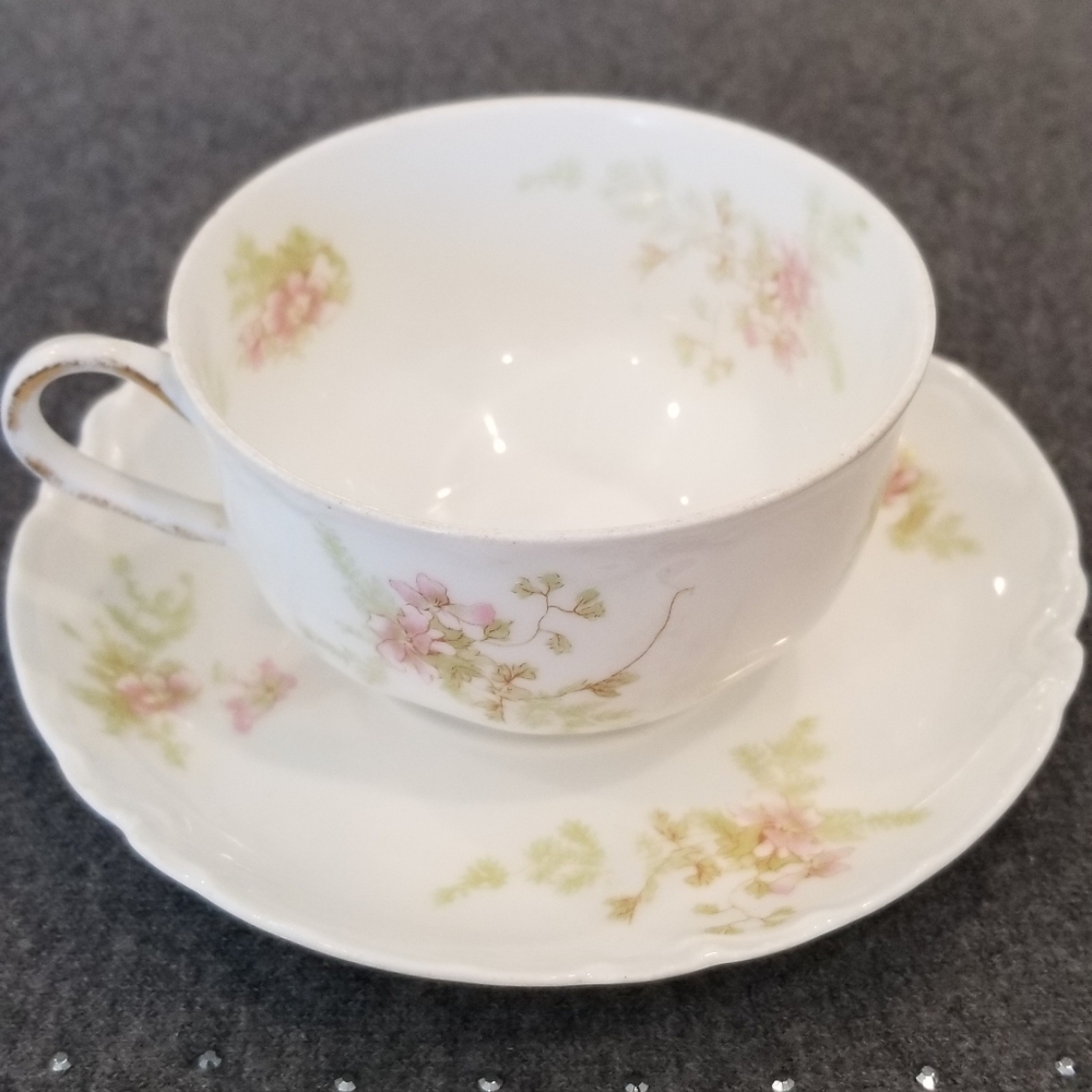 Floral Haviland France Teacup and Saucer Set Decorated By Haviland&Co Limoges